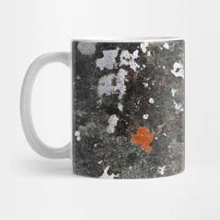 Seaside Fungi Growth On Rock Surface - Alternative Mug